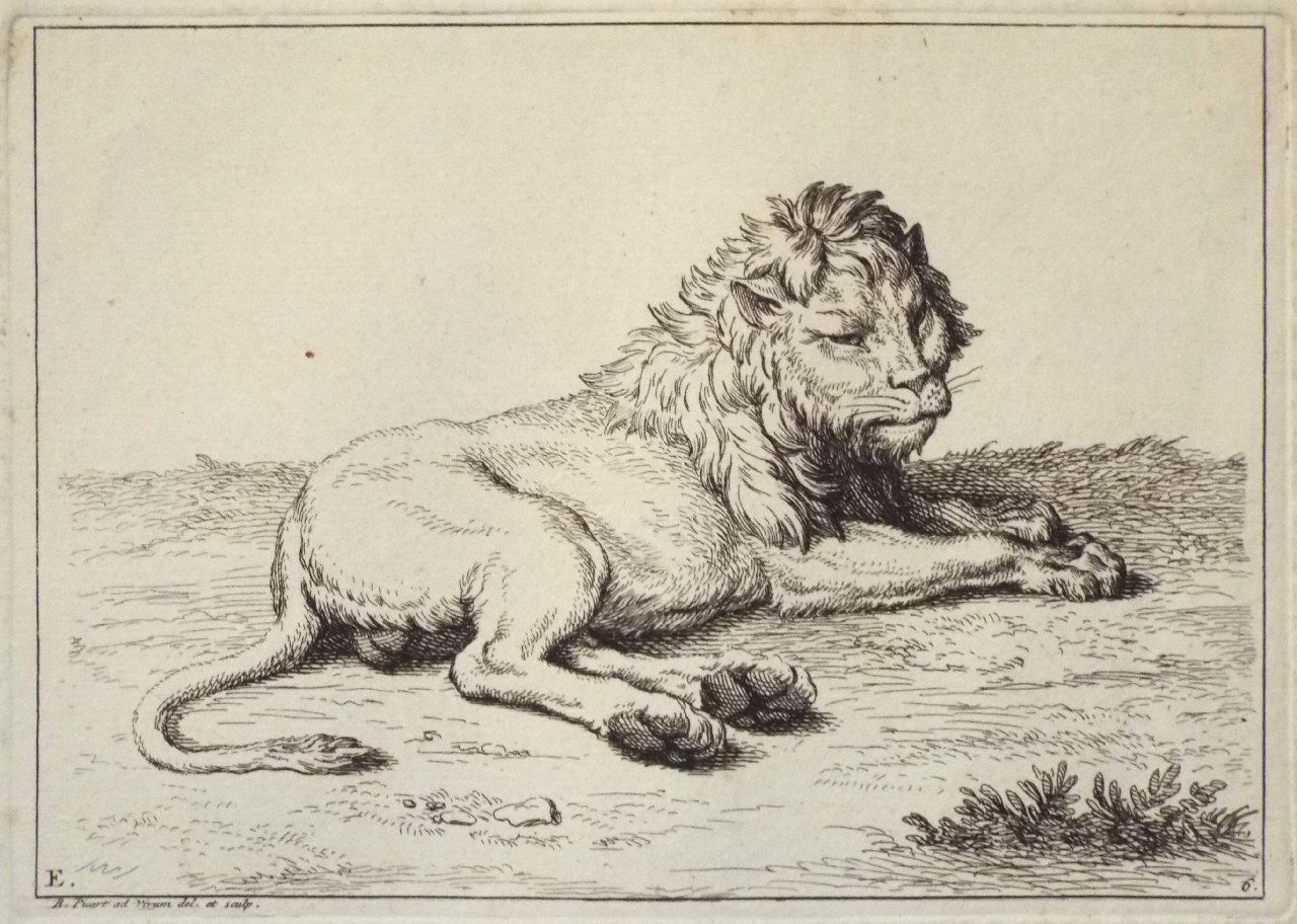 Etching - E. 6. Lion - Picart